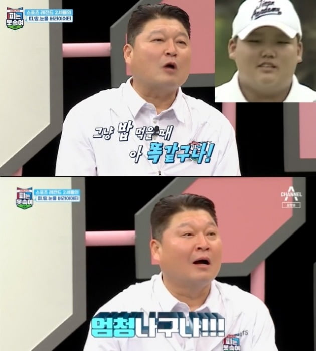 사진=채널A '피는 못 속여' 방송 화면.