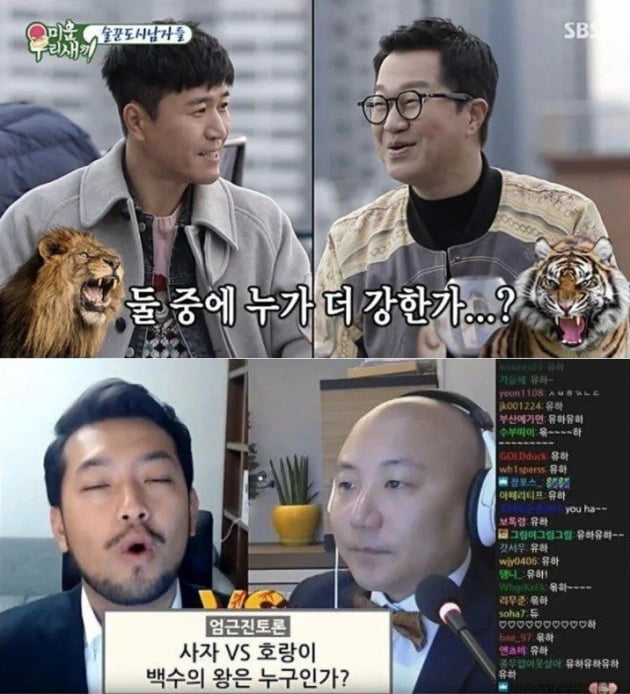 '미우새'(위)와 '침펄토론'/ 사진=SBS, 유튜브 캡처