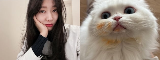 사진=박신혜 인스타그램