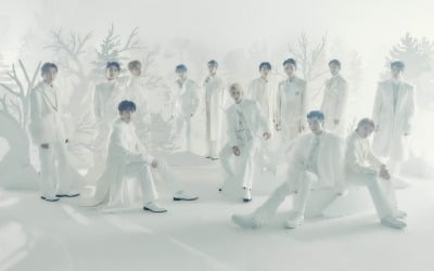 세븐틴, 1년 동안 3개 앨범 日 플래티넘 인정 "캐럿들의 큰 사랑 다시 실감"