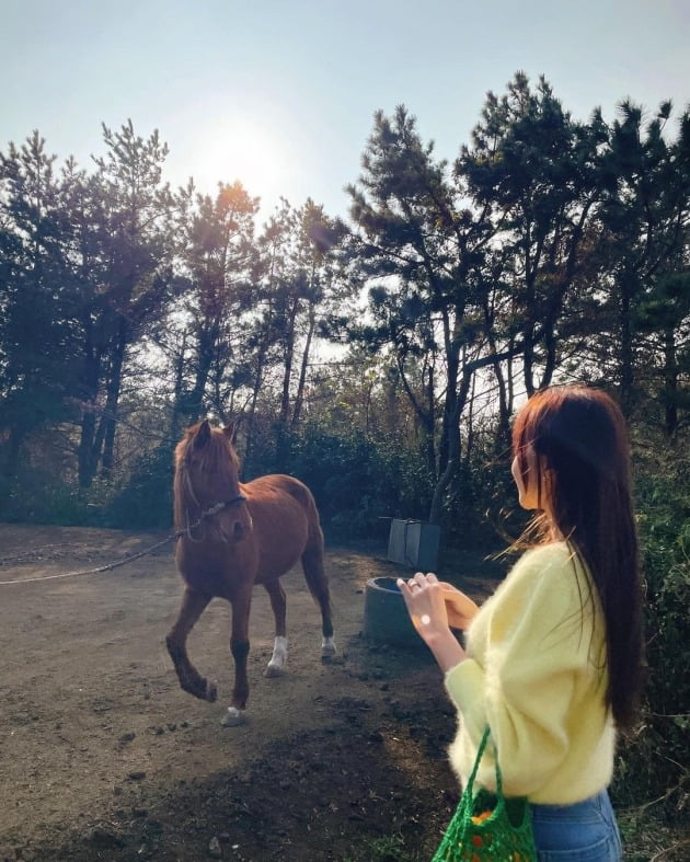 '박성광♥' 이솔이, 제주 말도 "아이컨택"하게 한 자태…감귤 주머니 들고 상큼美 [TEN★]