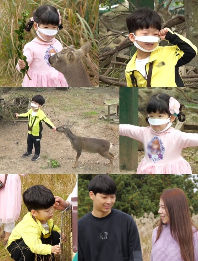 '슈퍼맨이 돌아왔다' / 사진 = KBS 제공