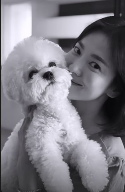 송혜교, 사랑에 빠졌네…행복한 미소 가득 [TEN★]