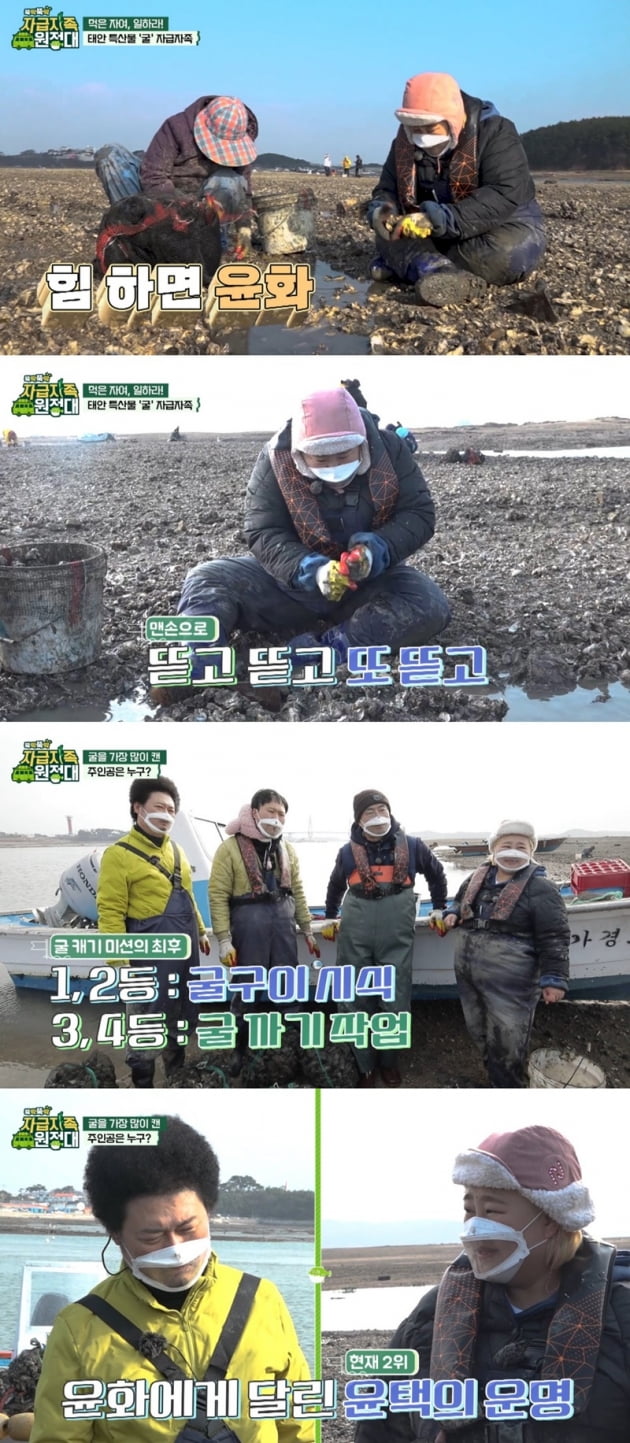 '자급자족원정대' / 사진 = IHQ 제공