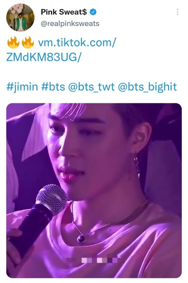 '방탄소년단 지민이 원할 때 언제든' 핑크 스웨츠 러브콜...'기다릴 만큼 기다렸다' 콜라보 기대UP