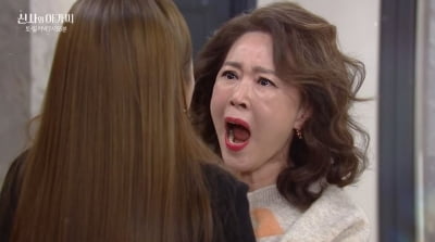 차화연, 극단적 선택 시도…지분 팔았다는 윤진이 말에 멱살 ('신사와 아가씨')