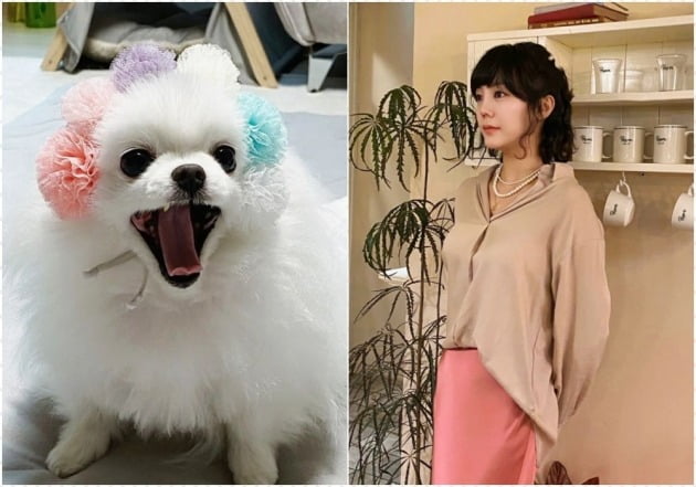 사진=고은아 인스타그램