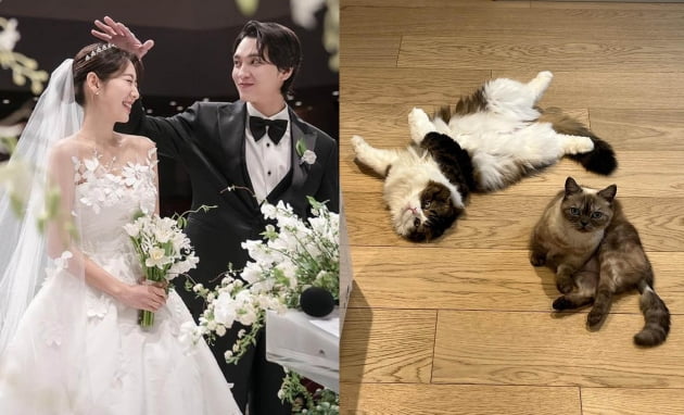 '최태준♥' 박신혜, '임신→결혼' 신혼집에 부쩍 늘어난 식구 "커플" [TEN★]