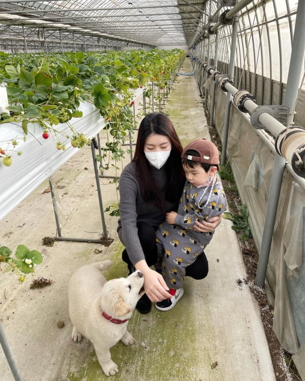 '이필모♥' 서수연, 딸기농장서도 엄마 껌딱지 子 담호 "아기멍멍이에 겁먹어" [TEN★]