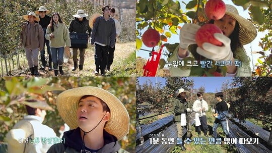 '시고르경양식' (사진=JTBC 제공)