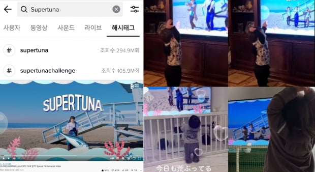 방탄소년단 진 '슈퍼참치' 전 세계적 신드롬...텔레토비도 챌린지