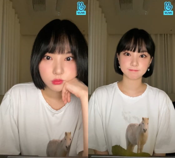 [TEN피플]'멤버 전원 코로나' 비비지, 수척한 얼굴…격리 중에도 놓치지 않는 소통