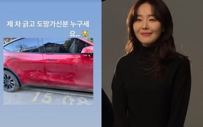 엄지원, 8천만원대 전기차 뺑소니 피해 호소 "도망가신 분 누구세요" [TEN★]