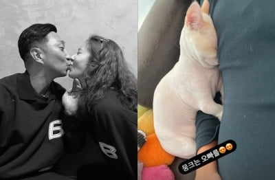 이규혁♥손담비, 집에서 데이트중?...여유로운 예비부부[TEN★]