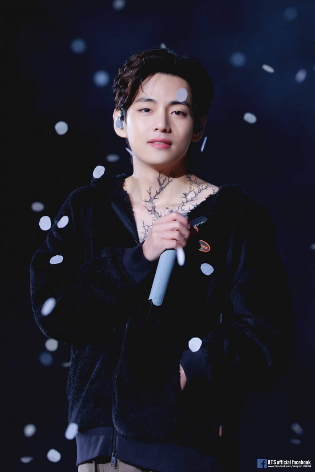 방탄소년단 뷔