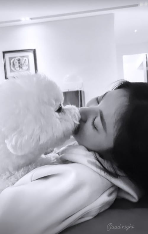송혜교, 반려견과 즐거운 하루...일상이 화보[TEN★]
