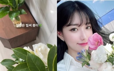 '돌싱맘' 배수진, 연애하더니 화분만 봐도 설레 "집안은 벌써 봄" [TEN★]