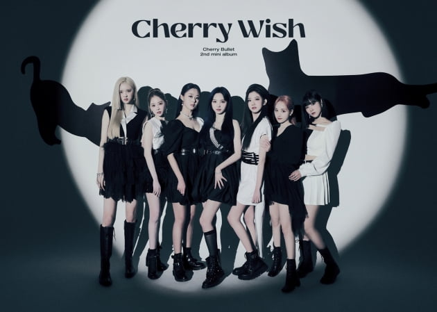 사진제공=FNC W
