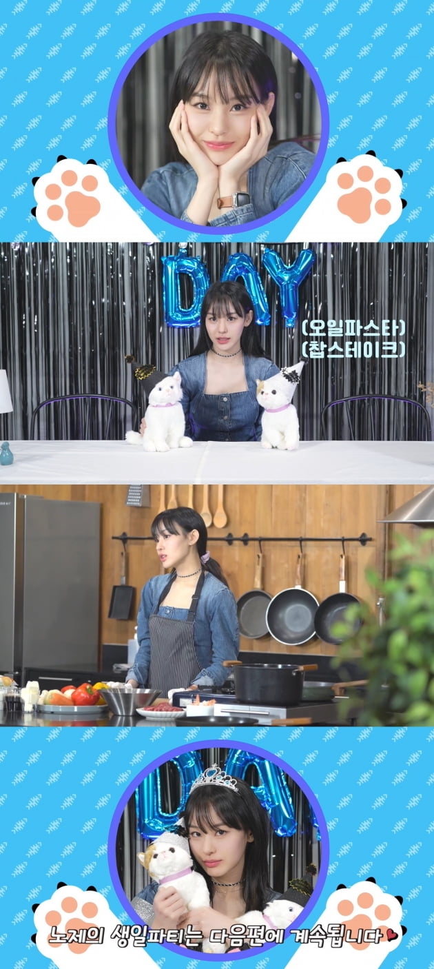 노제, 귀여움+엉뚱美 폭발…아기 고양이 인형과 함께한 '해피 노제 데이!'