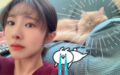 '43kg' 김은영, 살이 더 빠졌나…소멸 직전 얼굴+날렵한 턱선 [TEN★]