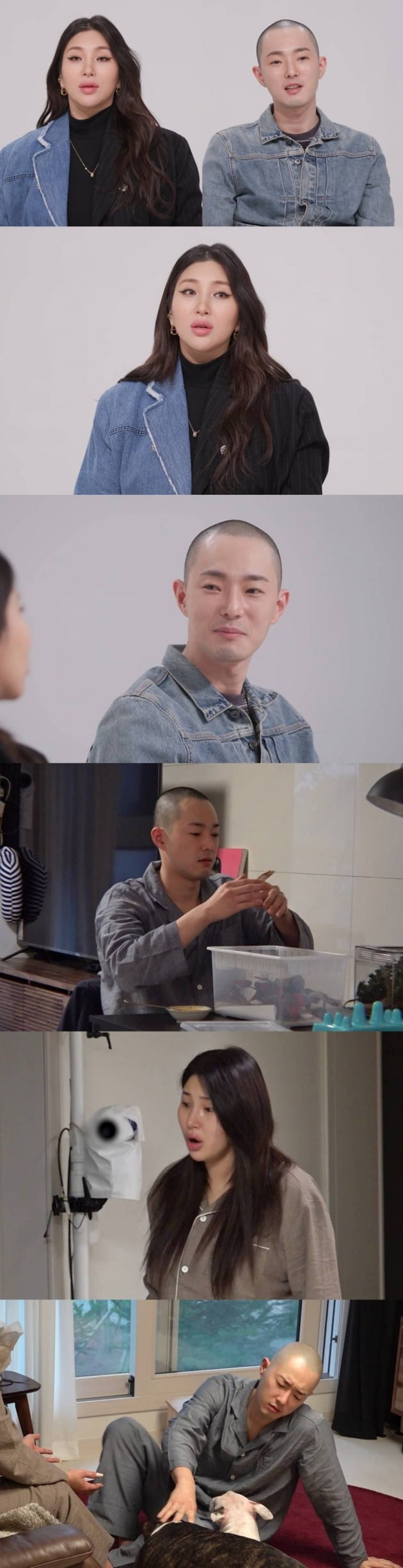 자이언트핑크·한동훈 부부 / 사진제공=SBS