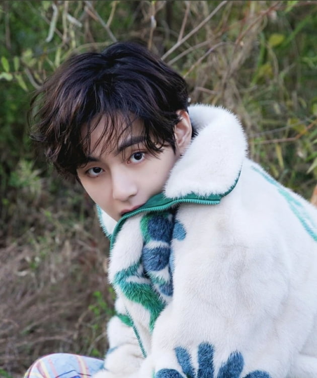 방탄소년단 뷔,Christmas Tree’ 스포티파이 글로벌차트 30일간 차트인... K팝 男솔로 최장