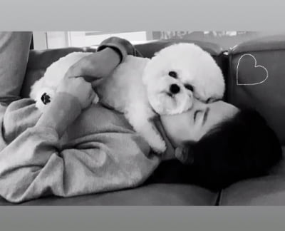 송혜교, 반려견과 행복한' 럽스타그램'[TEN★]
