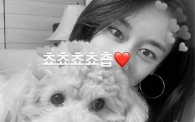 '황재균♥' 티아라 지연, 결혼 앞두고 애교 넘치네…"쵸쵸쵸쵸춉♥" [TEN★]