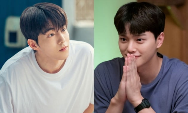 '스물다섯 스물하나'의 남주혁과 '기상청 사람들'의 송강. / 사진제공=tvN, JTBC스튜디오