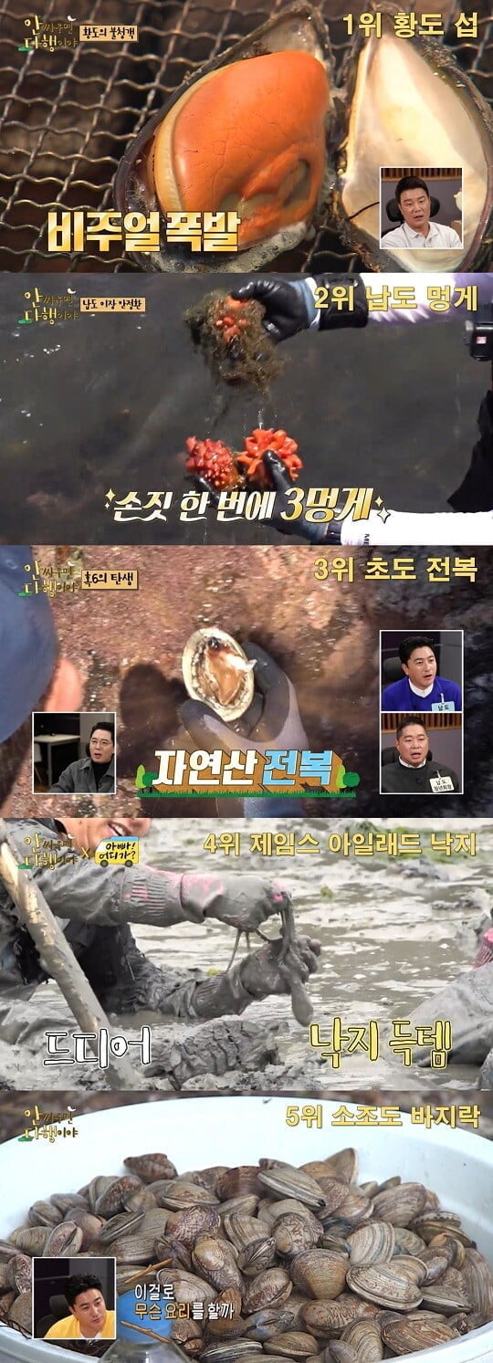 '안다행' (사진=방송 화면 캡처)