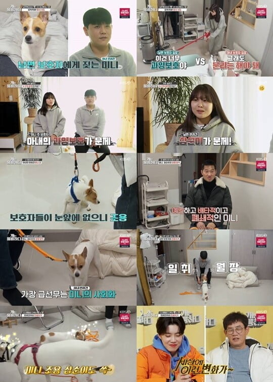 (사진=방송캡처)