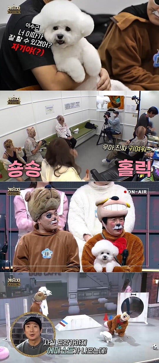 이수근, 반려견 숑숑 공개…와일드카드 이상의 특급 존재감 ‘대기실 홀릭’ (‘개승자’)