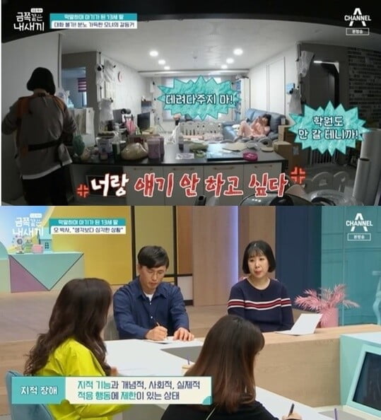 '금쪽같은 내 새끼'(사진=방송 화면 캡처)