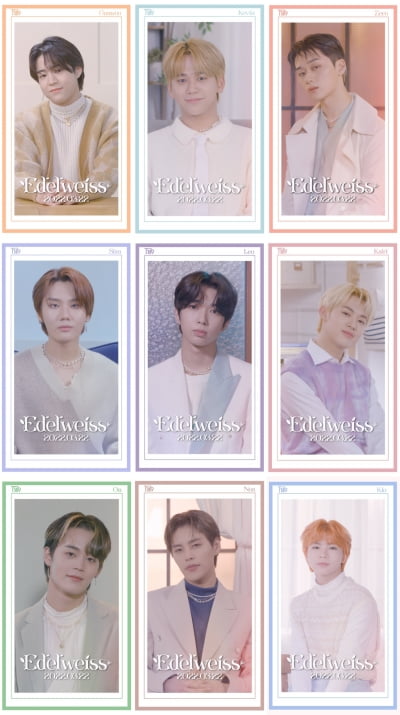 T1419, 신곡 '에델바이스' 리릭 비디오 공개 "팬 향한 사랑 가득"