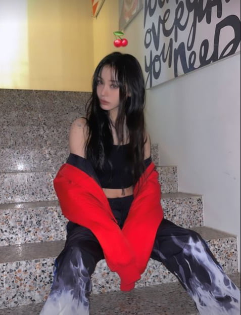 노제 인스타그램