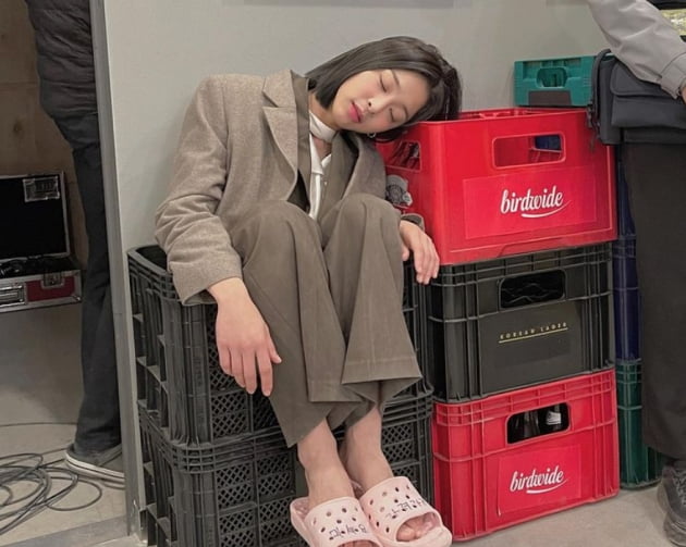 설인아, 박스에 구겨서...놀라게 한 '졸귀' 사진[TEN★]