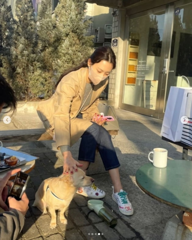 '재미교포♥' 수현, 앙증맞은 명품 C사 미니백 메고 반려견과 데이트 [TEN★]