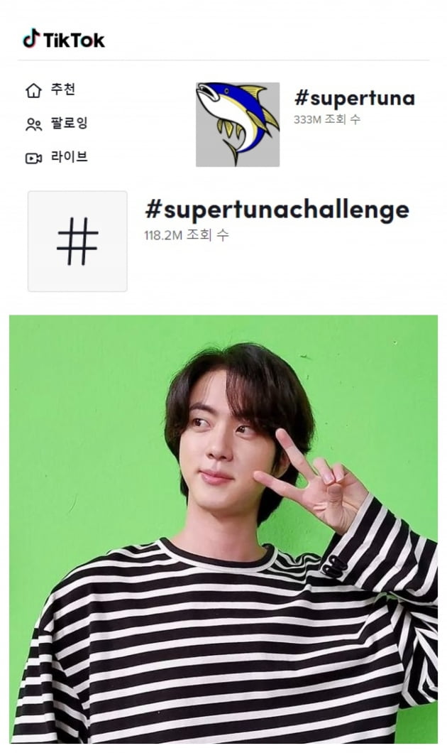 방탄소년단 진 '슈퍼참치',유투브 5630만 뷰, 틱톡 #SuperTuna 3억3330만뷰