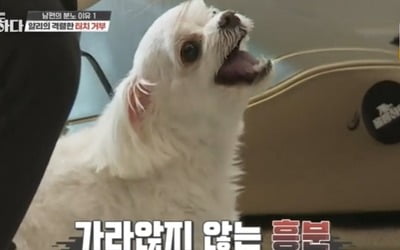 강형욱, '반려견 때문에 이혼 위기' 부부 갈등 해결…남편 보호자, 눈물 글썽 ('개훌륭')