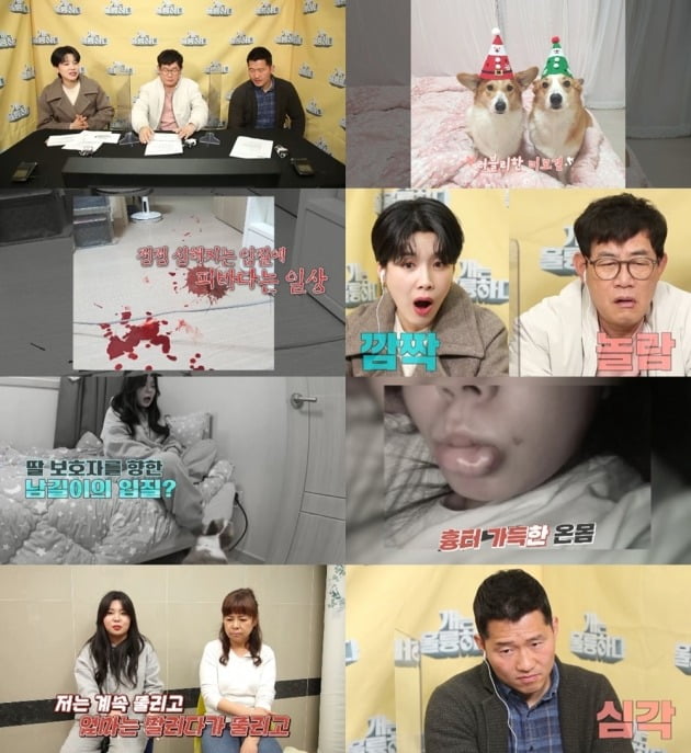 사진 제공=KBS2 ‘개는 훌륭하다’