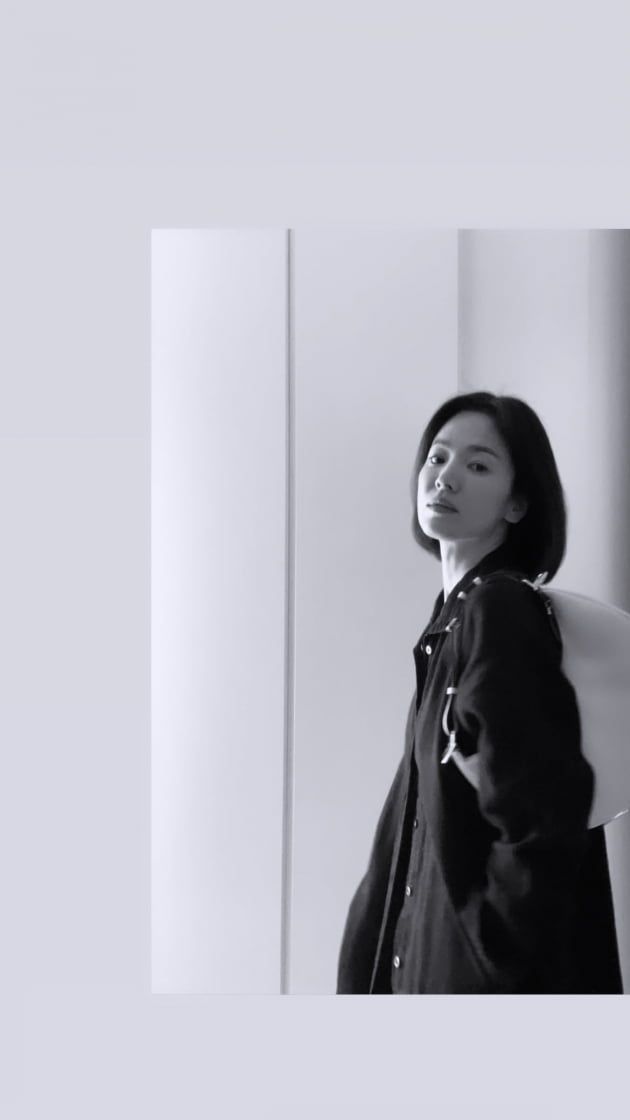 송혜교 /사진=송혜교 인스타그램