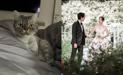 '최태준♥' 박신혜, 애정이 가득한 반려묘...행복한 태교중[TEN★]
