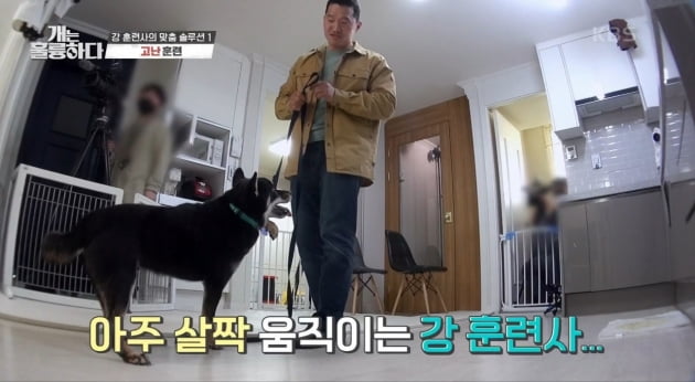 [종합] 강형욱, 물린 횟수만 70번…'역대급' 고민견과 대치 ('개훌륭')