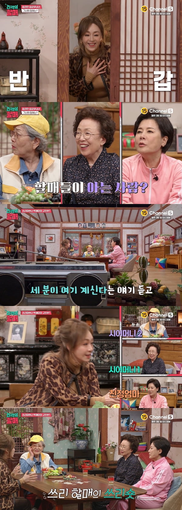 박해미 /사진=채널S '진격의 할매' 방송화면 캡처