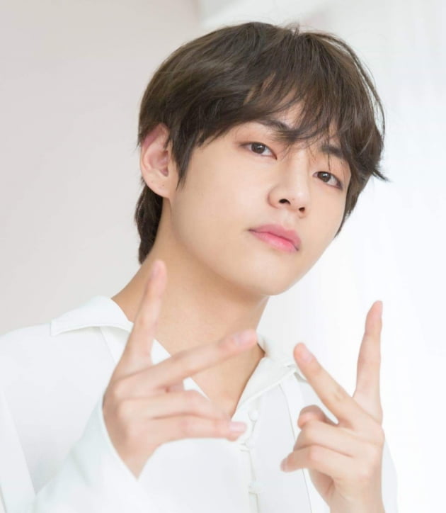 방탄소년단 뷔