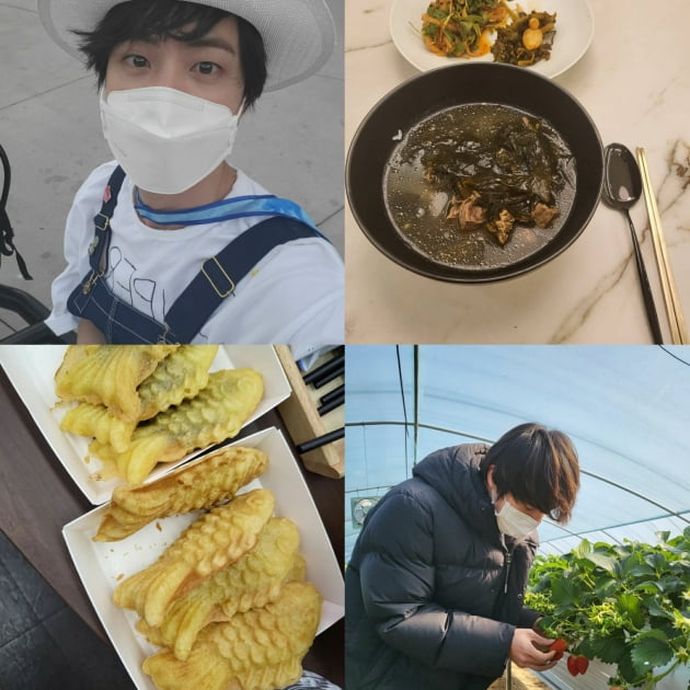 방탄소년단 진, 반박불가 인기...킹초이스 심미적 인스타 피드 1위