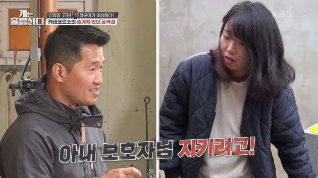 [종합] '41kg 카네코르소' 장군이, 강형욱 "잘못하면 사람 물 것, 생사 결정 못할 수도" ('개훌륭')