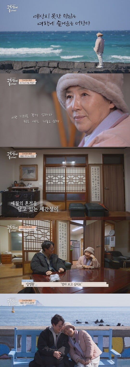 '고두심이 좋아서' (사진=채널A 제공)