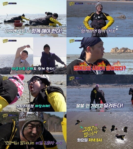 '고끝밥' (사진=NQQ&디스커버리 채널 코리아 제공)