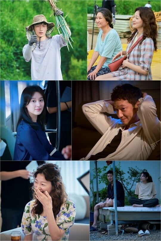 (사진=스튜디오피닉스, 초록뱀미디어, JTBC스튜디오)